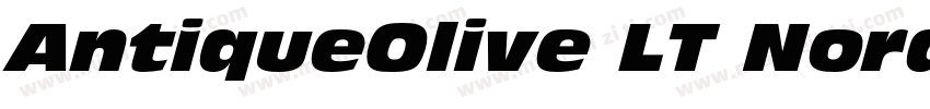 AntiqueOlive LT Nord Italic Preview字体转换